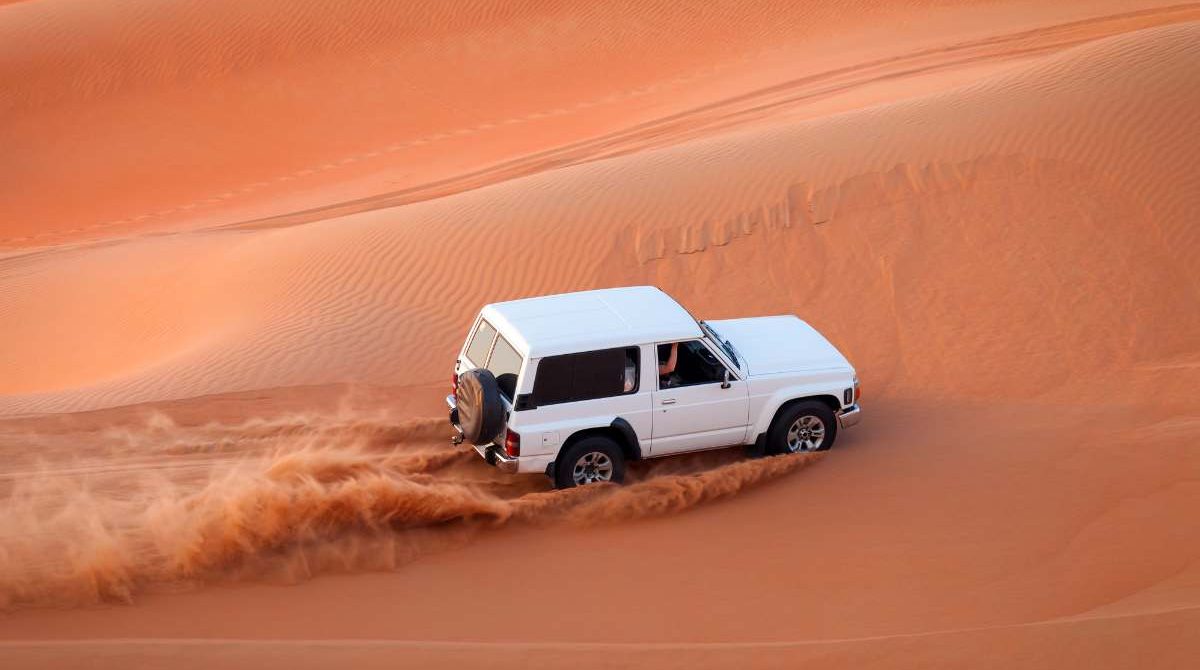 Desert Safari in Doha – Adventures with BHA Tourism and Services
